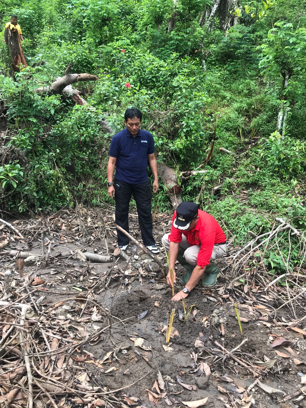 perhutani-kph-lawu-gerakan-tanam-rumput-vertiver-bersama-stakeholder-di-ngebel