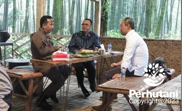 Koordinasi penyelesaian masalah Hukum Perdata dan Tata Usaha Negara (DATUN) wilayah hutan dilakukan Perhutani Probolinggo