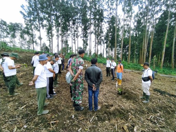 sinergitas-perhutani-kph-probolinggo-bersama-stakeholder-dalam-hijaukan-hutan-burno