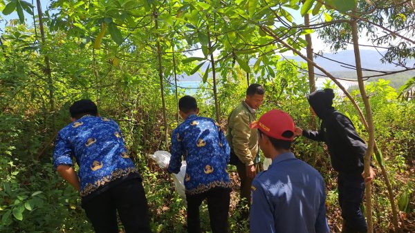 Perhutani KPH Lawu Ds dan CDK Wilayah Pacitan Lepasliarkan 6 Jenis Ular ke Kawasan Hutan Perhutani