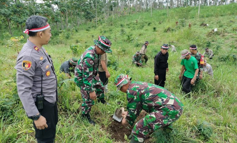 perhutani-kph-probolinggo-lakukan-penanaman-bersama-stakeholder