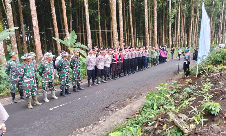 perhutani-kph-probolinggo-giat-tanam-bersama-stakeholder