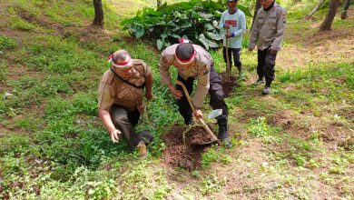 perhutani-kph-probolinggo-bersama-polri-dan-stakeholder-lakukan-penanaman-pohon