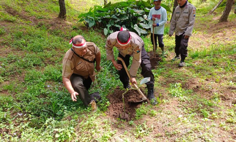 perhutani-kph-probolinggo-bersama-polri-dan-stakeholder-lakukan-penanaman-pohon