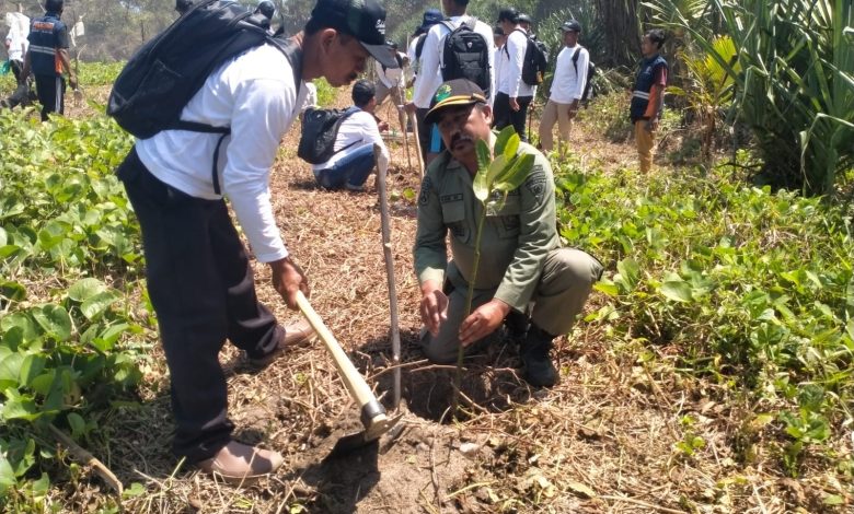 perhutani-kph-malang-giat-pelestarian-lingkungan-bersama-dinas-kelautan