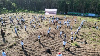 divre-jatim-laksanakan-groundbreaking-tanaman-di-rph-sumberjati