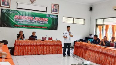 percepat-implementasi-program-kkp-perhutani-kph-probolinggo-laksanakan-kegiatan-sosialisasi