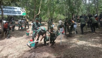perhutani-kph-lawu-ds-laksanakan-penghijauan-kembali-hutan-gunung-lawu