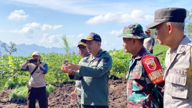 kph-probolinggo-gelar-kegiatan-nandur-bareng-di-petak-3c1