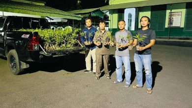 perhutani-kph-probolinggo-serahkan-bibit-pohon-mahoni-dan-bibit-pohon-damar