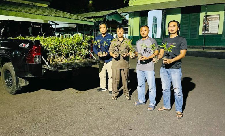 perhutani-kph-probolinggo-serahkan-bibit-pohon-mahoni-dan-bibit-pohon-damar