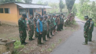 perhutani-kph-jember-bersama-tni-laksanakan-penanaman-pohon-bersama