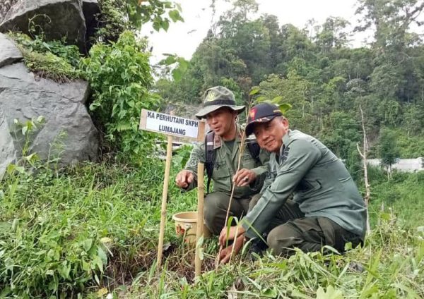 kph-probolinggo-bersama-forkopimda-gelar-penanaman-pohon-bersama-di-petak-5d