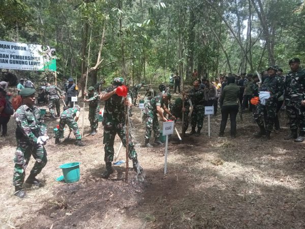 perhutani-kph-lawu-ds-laksanakan-penghijauan-kembali-hutan-gunung-lawu