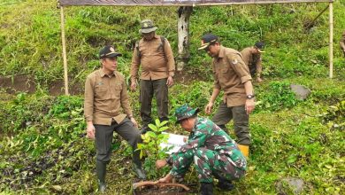 kph-jember-partisipasi-dalam-kegiatan-penanaman-pohon-bersama-tni-ad
