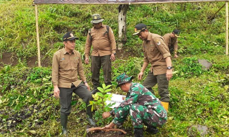 kph-jember-partisipasi-dalam-kegiatan-penanaman-pohon-bersama-tni-ad