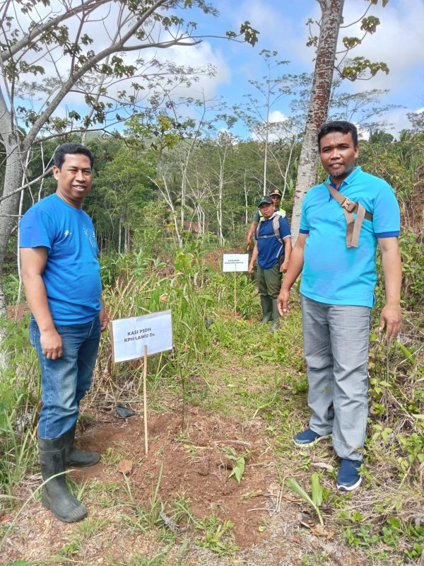 kph-lawu-ds-lakukan-penanaman-pohon-untuk-konsevasi-penyelamatan-sumber-air-mata