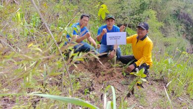 kph-lawu-ds-lakukan-penanaman-pohon-untuk-konsevasi-penyelamatan-sumber-air-mata