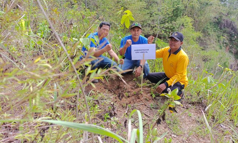 kph-lawu-ds-lakukan-penanaman-pohon-untuk-konsevasi-penyelamatan-sumber-air-mata