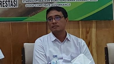 luruskan-pemberitaan-tidak-ada-anggota-perhutani-kph-jember-jual-tunggak-jati-tanpa-spk