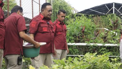 lapas-narkotika-cirebon-ikut-proses-penanaman-dan-perawatan-tanaman