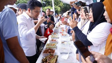 wagub-emil-dkp-akan-akomodasi-terkait-limpahnya-ikan-tongkol-dan-ikan-layang
