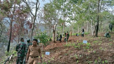 kph-lawu-ds-lakukan-penanaman-bersama-di-ponorogo-timur