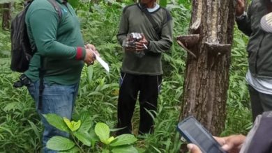 kph-banyuwangi-peduli-pada-penyadap-getah-pinus-saat-kunker-di-bkph-kalisetail