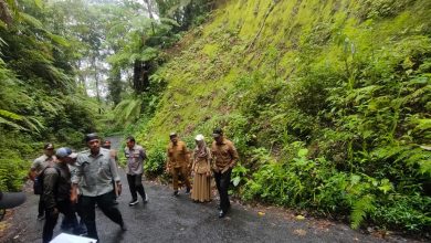 perhutani-banyuwangi-barat-verifikasi-lapangan-permohonan-rehabilitasi-bersama-bpbd-provinsi-jatim