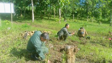 perhutani-blitar-tanam-gelar-penanaman-di-lokasi-eks-tebu