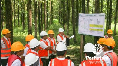 rangka-tingkatkan-sinergi-perhutani-divre-jatim-terima-kunjungan-asdep-ipk
