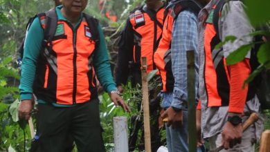 perhutani-banyuwangi-barat-latih-mandor-lingkungan-se-kph-banyuwangi