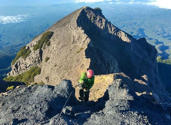 kph-banyuwangi-barat-ukir-kembali-prestasi-luar-biasa