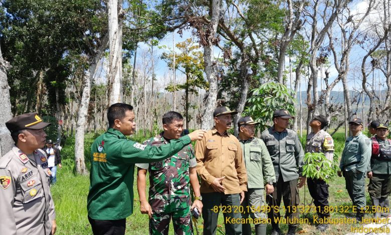 perhutani-jember-lakukan-patroli-gabungan-antisipasi-penertiban-lahan-garapan