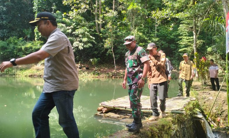 perhutani-kph-jember-tabur-benih-ikan-nila-dalam-rangka-dukung-ketahanan-pangan