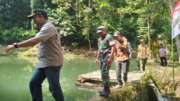 perhutani-kph-jember-tabur-benih-ikan-nila-dalam-rangka-dukung-ketahanan-pangan