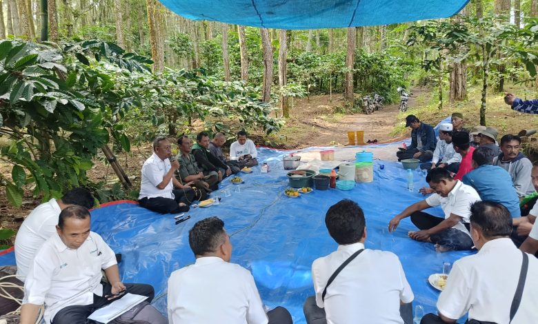 tingkatkan-produksi-getah-pinus-perhutani-banyuwangi-barat-lakukan-pembinaan-pada-penyadap