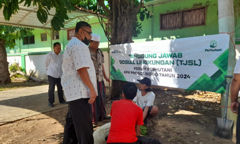 perhutani-probolinggo-serahkan-bantuan-tjsl-berupa-hewan-qurban-satu-ekor-kambing