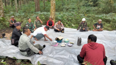 perhutani-banyuwangi-barat-selamatan-tebangan-dengan-undang-forkompimcam-kalipuro