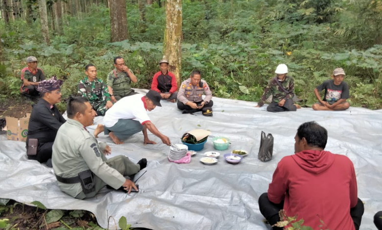 perhutani-banyuwangi-barat-selamatan-tebangan-dengan-undang-forkompimcam-kalipuro