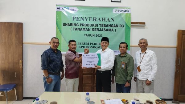 perhutani-kph-bondowoso-berikan-sharing-produksi-kayu-kepada-5-lmdh-dan-investor-