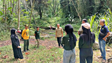 perhutani-probolinggo-gelar-sosialisasi-penerapan-sistem-e-ticketing-di-jalur-pendakian-gunung-lemongan