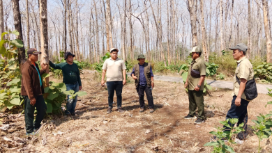 perhutani-probolinggo-bersama-cdk-lumajang-gelar-pemeriksaan-bersama-rencana-tebangan-d2