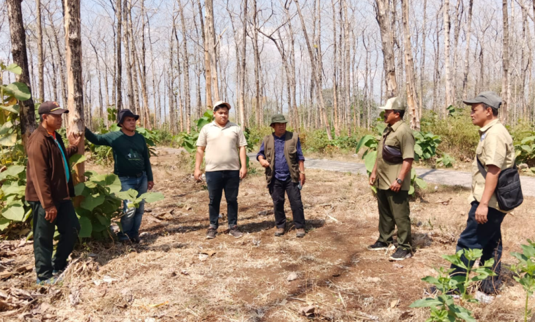 perhutani-probolinggo-bersama-cdk-lumajang-gelar-pemeriksaan-bersama-rencana-tebangan-d2