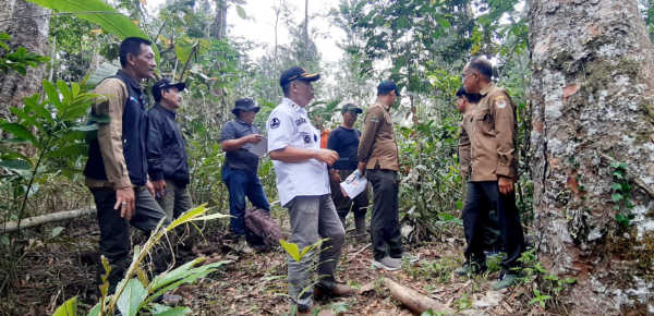 wakadivre-jatim-bersama-perhutani-probolinggo-lakukan-monev-produksi-kayu-di-senduro