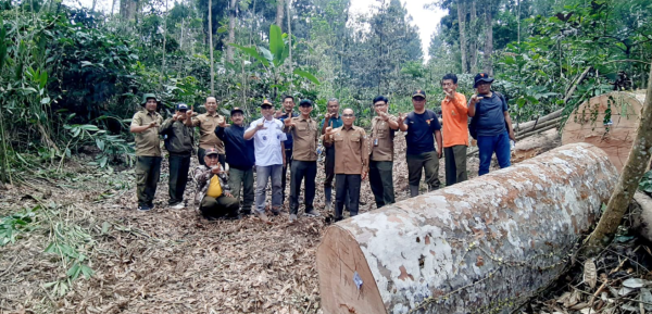 wakadivre-jatim-bersama-perhutani-probolinggo-lakukan-monev-produksi-kayu-di-senduro