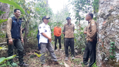 wakadivre-jatim-bersama-perhutani-probolinggo-lakukan-monev-produksi-kayu-di-senduro