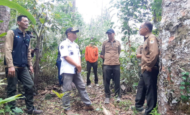 wakadivre-jatim-bersama-perhutani-probolinggo-lakukan-monev-produksi-kayu-di-senduro