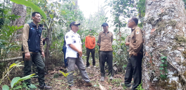 wakadivre-jatim-bersama-perhutani-probolinggo-lakukan-monev-produksi-kayu-di-senduro