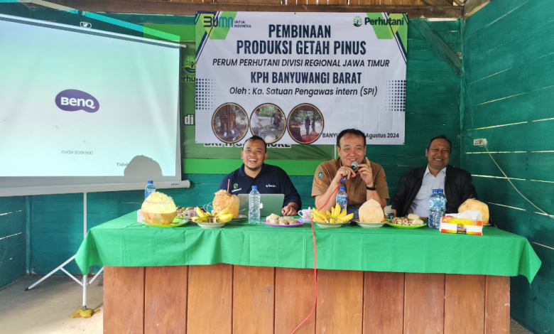 perhutani-banyuwangi-barat-dampingi-kepala-spi-dalam-pembinaan-produksi-getah-pinus